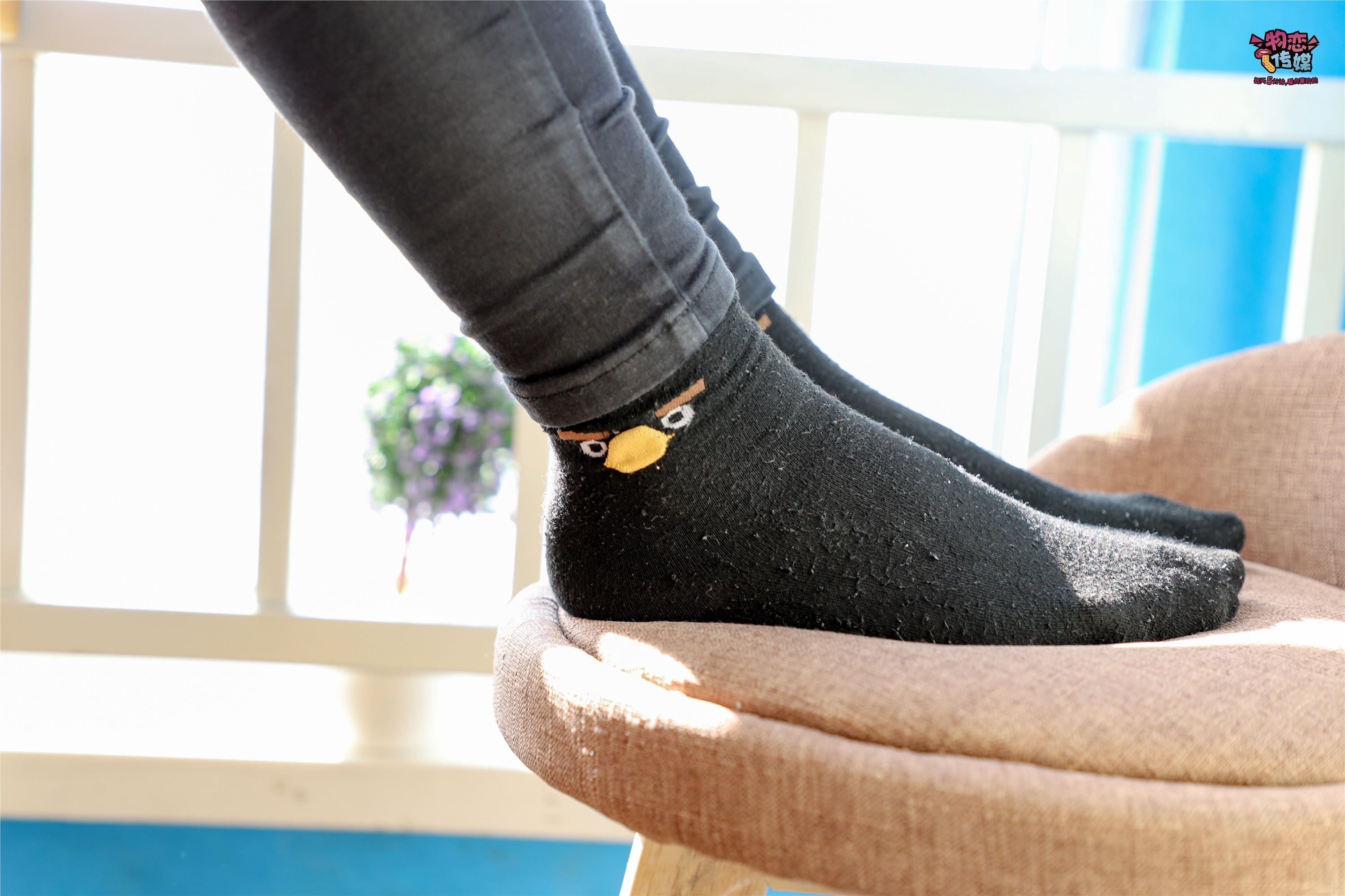 物恋传媒 No.004 学建筑的小姐姐来啦，带你看不一样的理工女生